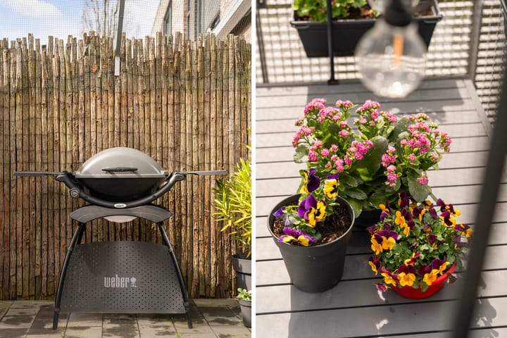 Foto 18 van Scharwater 47