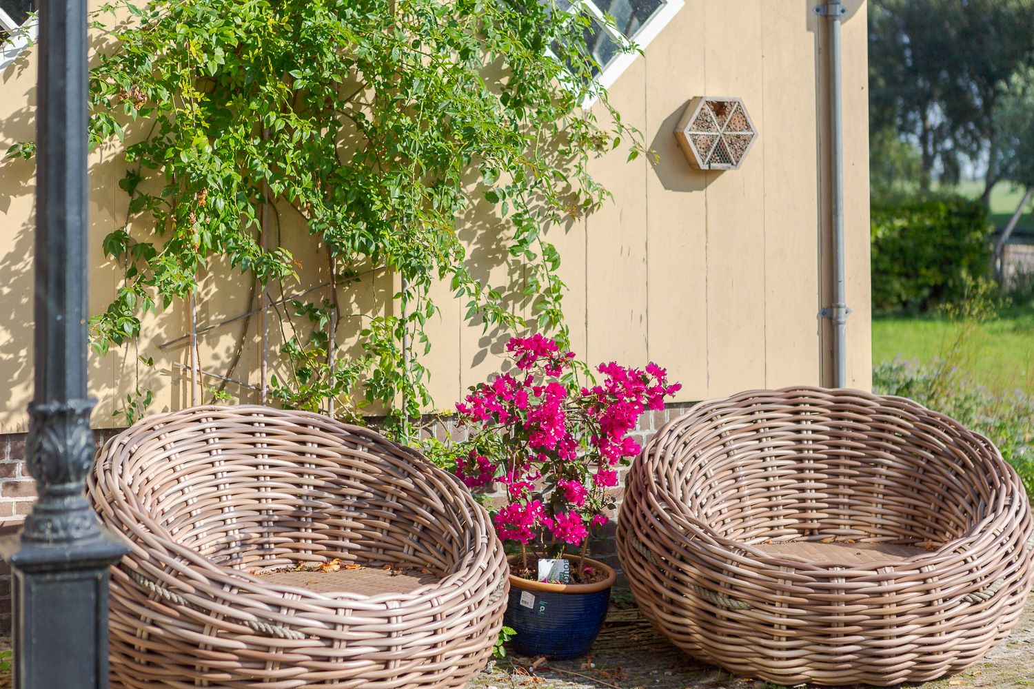 Foto 6 van Tsjerkebuorren 43