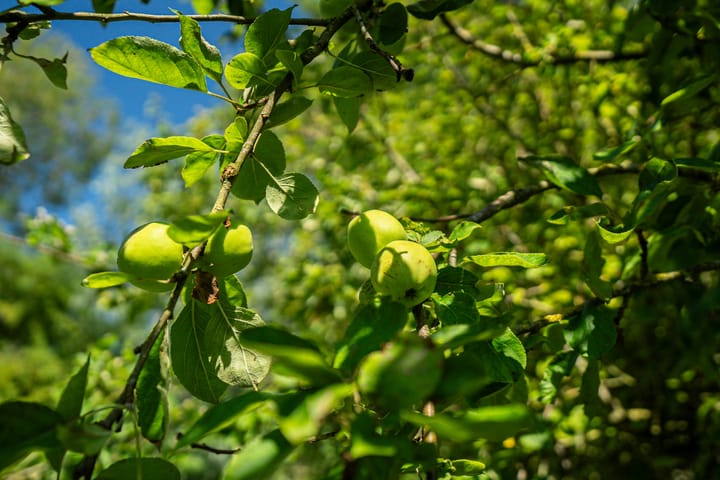 Foto 22 van A.C. Bakkerstraat 28