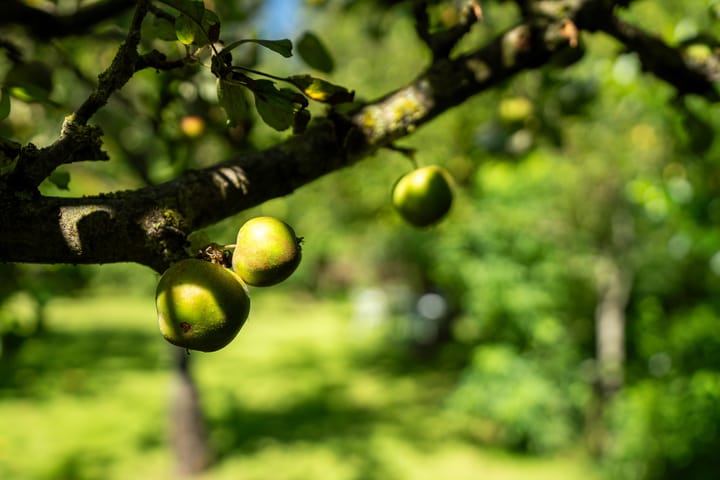 Foto 24 van A.C. Bakkerstraat 28