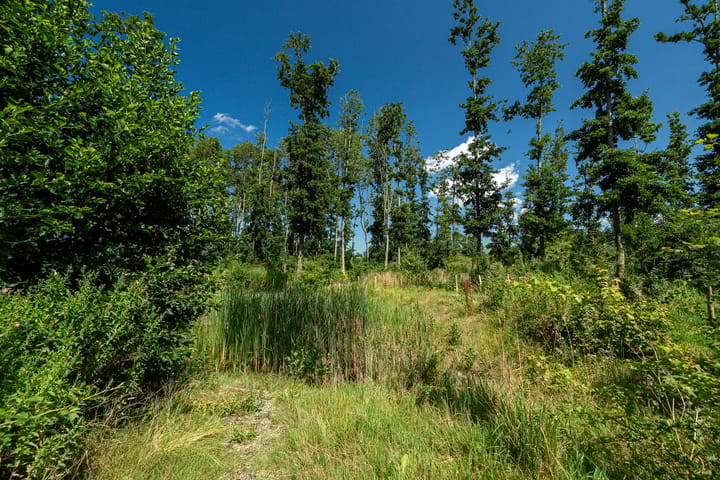 Foto 31 van A.C. Bakkerstraat 28