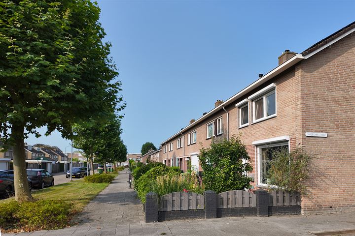 Bekijk foto 57 van Plataanstraat 2