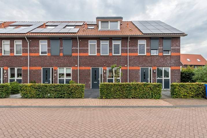 undefined main image