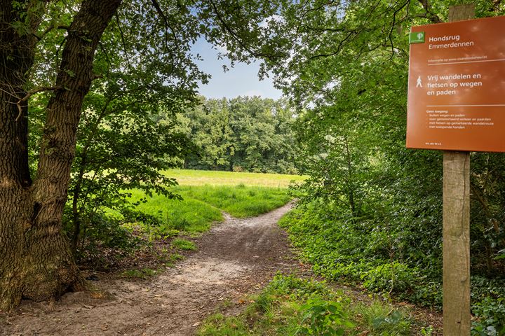 Bekijk foto 3 van Landschaplaan 99