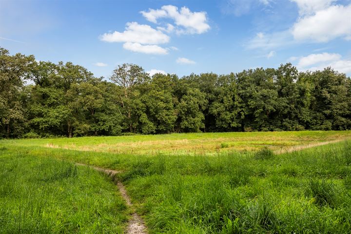 Bekijk foto 4 van Landschaplaan 99