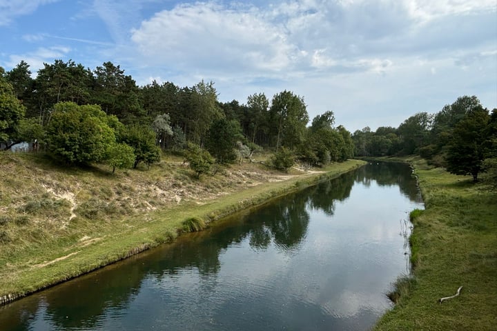 Bekijk foto 34 van Zandvoortselaan 113