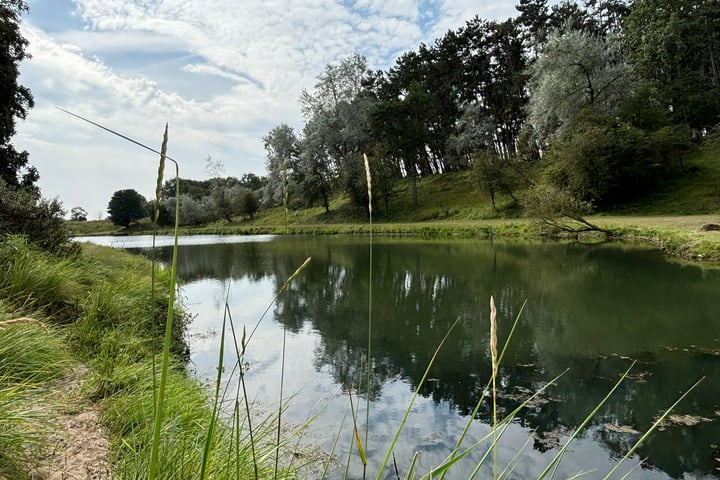 Bekijk foto 35 van Zandvoortselaan 113