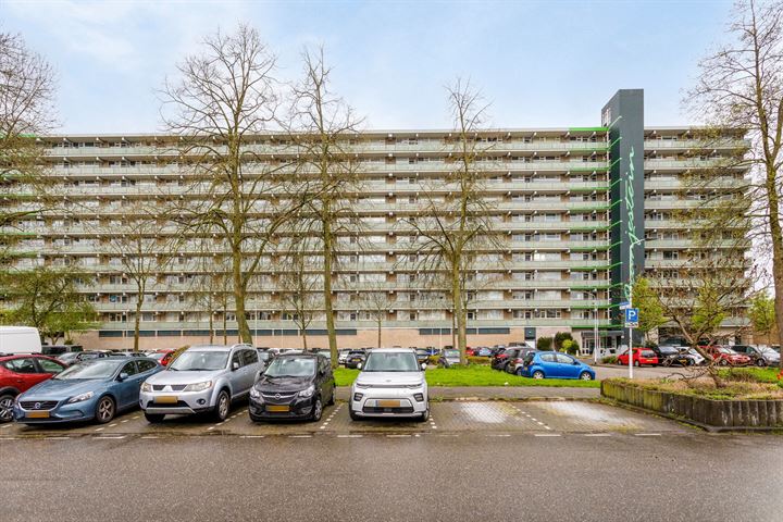 Bekijk foto 3 van Stadhoudersring 208