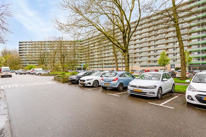 Bekijk foto 4 van Stadhoudersring 208