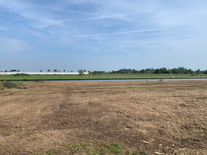 Foto 1 van Elzenbroek