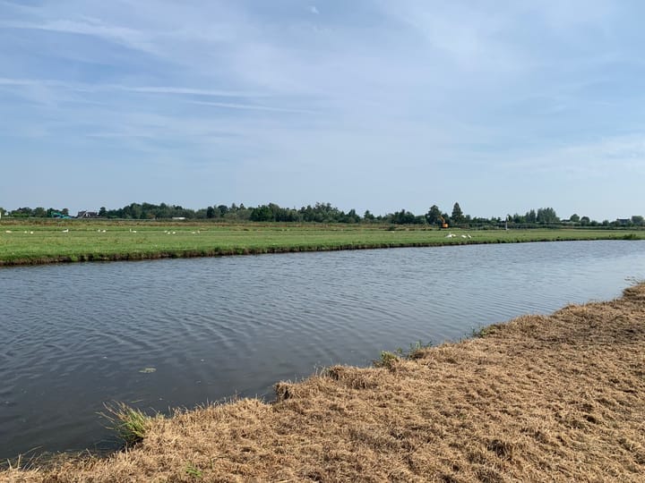 Foto 4 van Elzenbroek