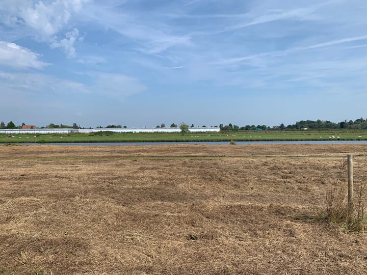 Foto 6 van Elzenbroek