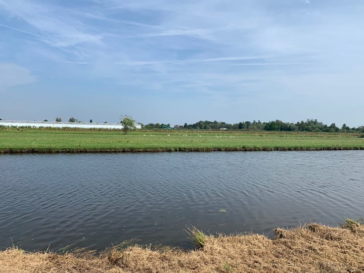 Foto 8 van Elzenbroek