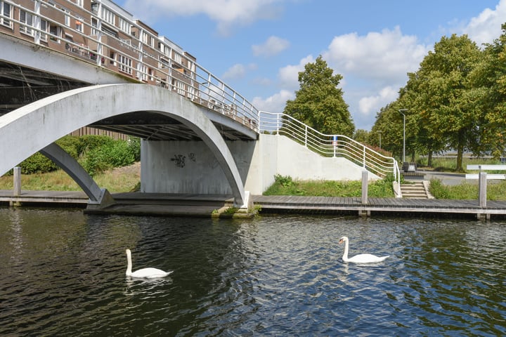 Bekijk foto 3 van Elburgkade 56