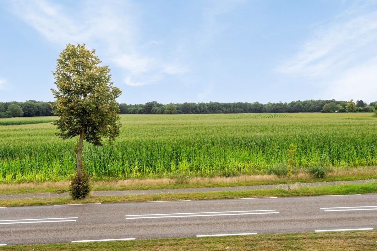 Foto 78 van Deckersstraat 11