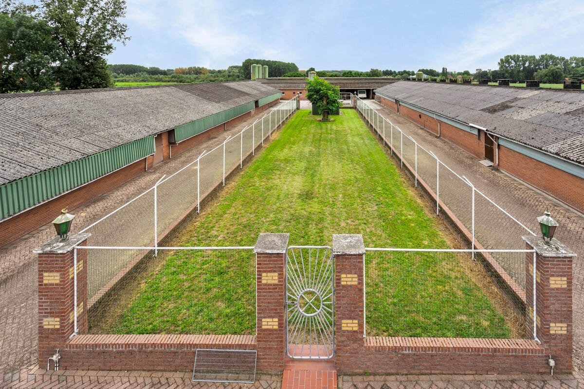 Foto 81 van Deckersstraat 11