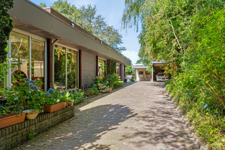 Foto 66 van Dwazziewegen 12