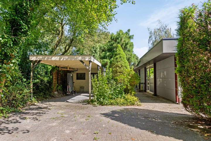 Foto 74 van Dwazziewegen 12