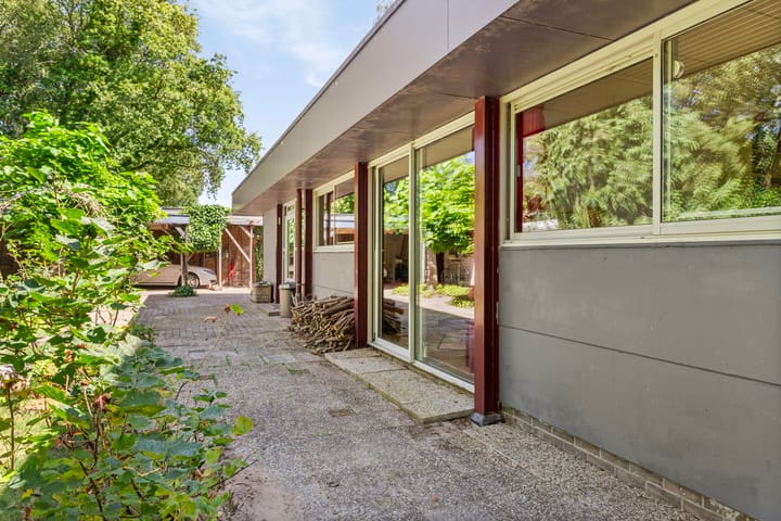 Foto 75 van Dwazziewegen 12