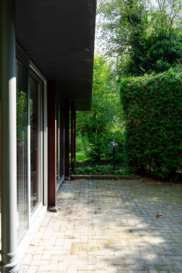 Foto 76 van Dwazziewegen 12