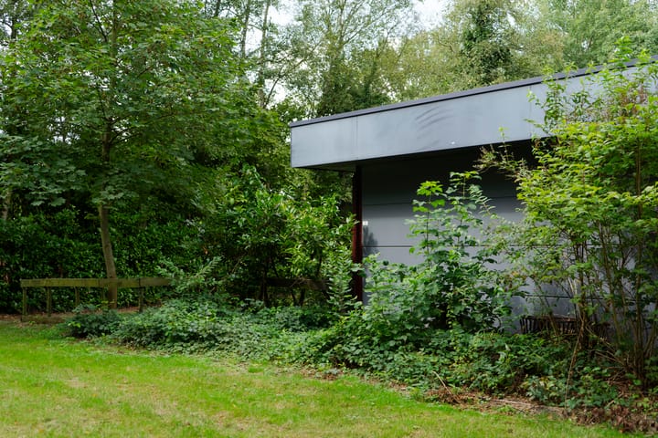 Foto 79 van Dwazziewegen 12