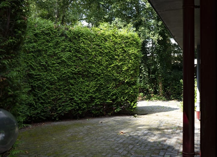 Foto 81 van Dwazziewegen 12