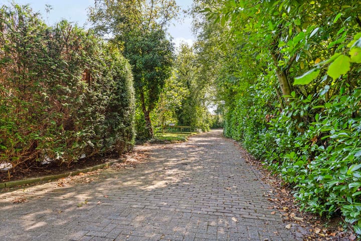 Foto 83 van Dwazziewegen 12