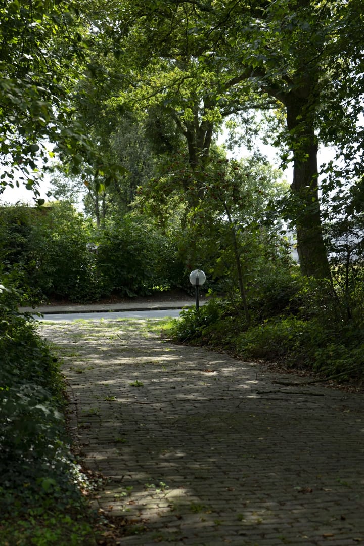 Foto 84 van Dwazziewegen 12