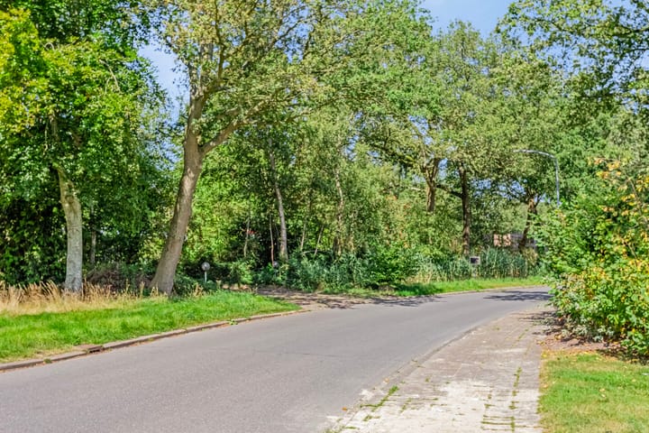 Foto 87 van Dwazziewegen 12