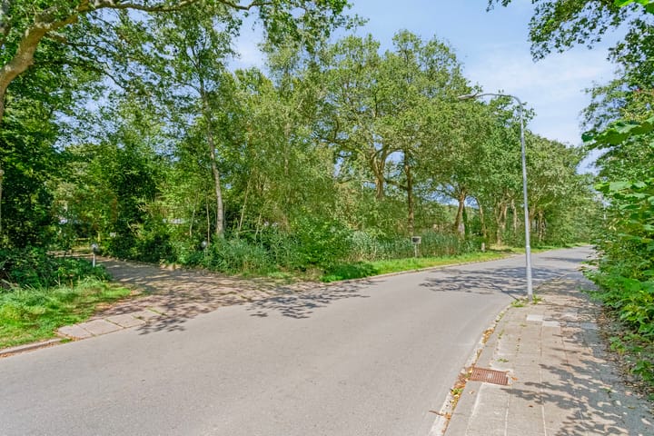 Foto 89 van Dwazziewegen 12