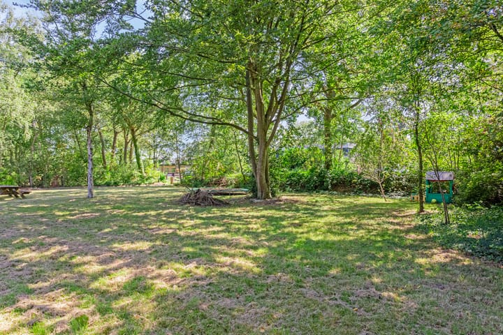 Foto 95 van Dwazziewegen 12