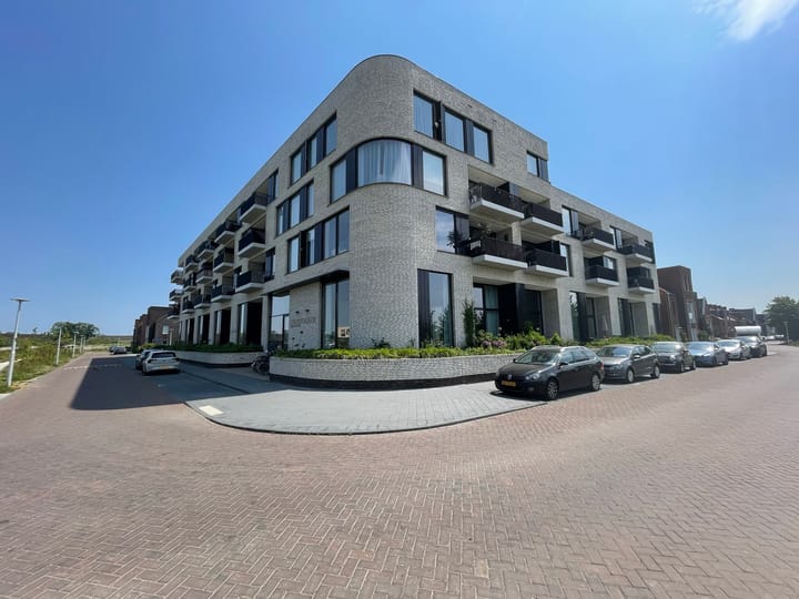 Wilde rucolavliet 31