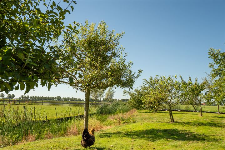 Bekijk foto 60 van Spanbroekerweg 220