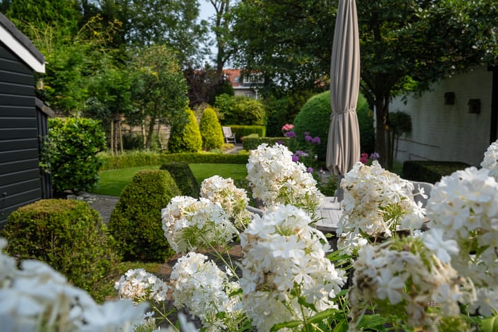 Foto 19 van Lange Kerkdam 59