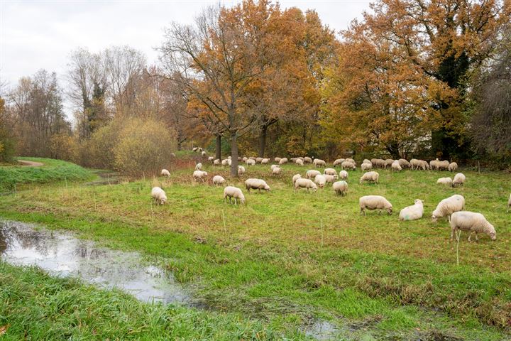 Bekijk foto 60 van Leeuwenstein 9