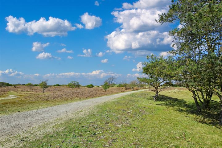 Bekijk foto 39 van Helmpad 8