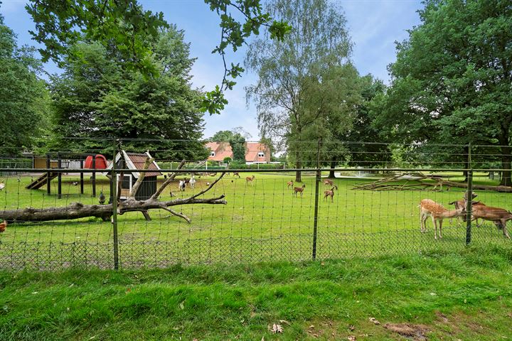 Bekijk foto 49 van Ir. Mentropweg 40