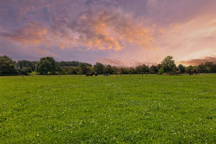 Bekijk foto 3 van Ommerweg