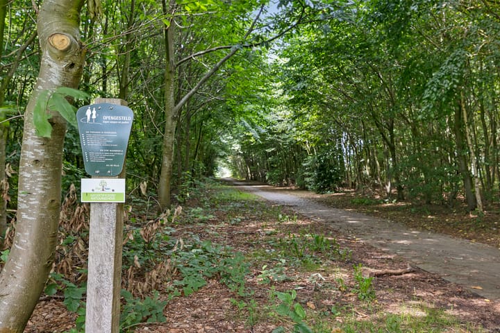 Foto 10 van Ommerweg