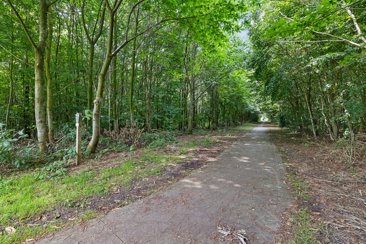 Foto 11 van Ommerweg