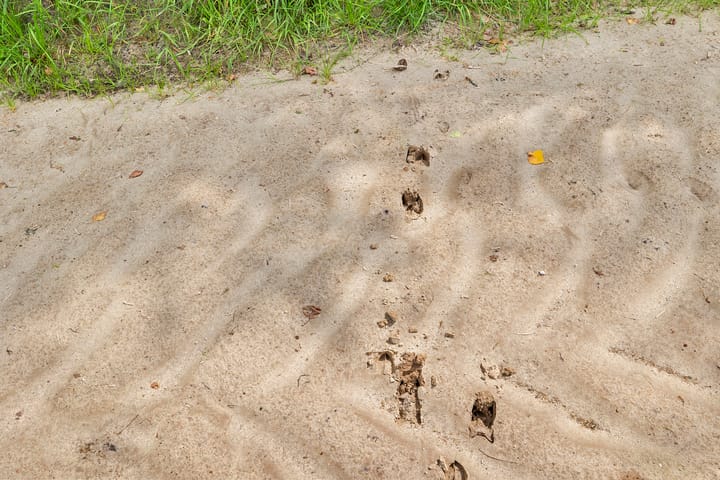 Foto 14 van Ommerweg