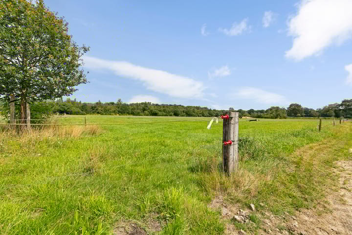 Foto 15 van Ommerweg