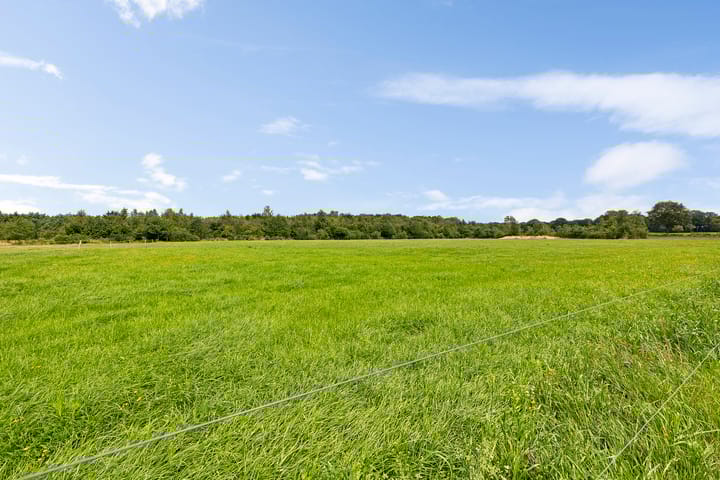 Foto 18 van Ommerweg