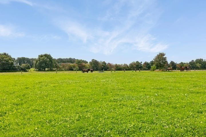 Foto 19 van Ommerweg