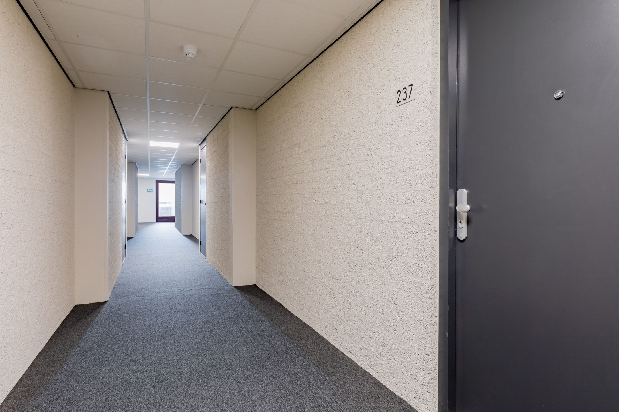 Photo 3 of Penelopestraat 237