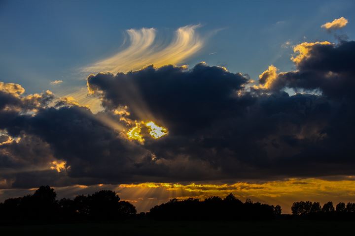 Bekijk foto 93 van Walseweg 9