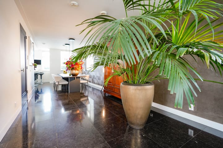 Foto 17 van van Panhuysstraat 55