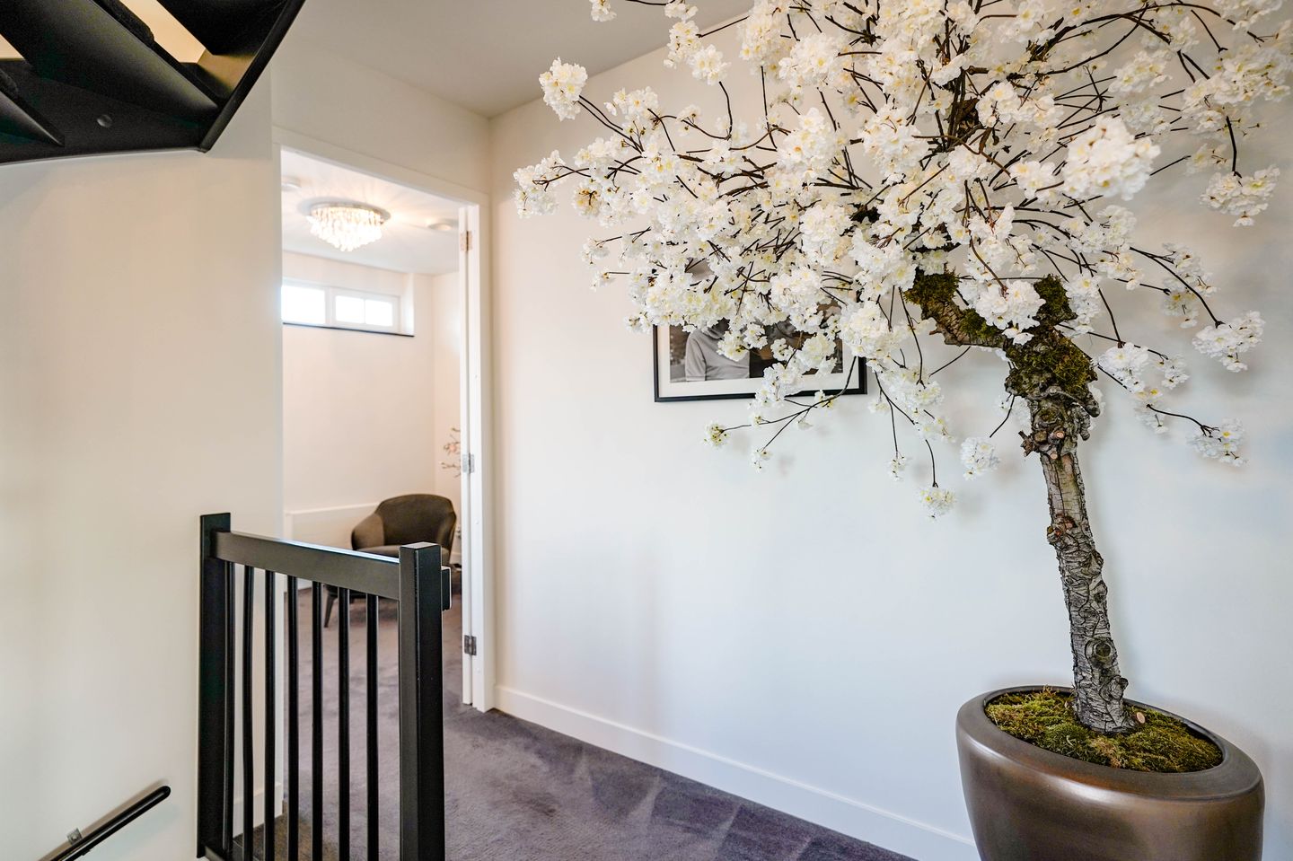 Foto 59 van van Panhuysstraat 55