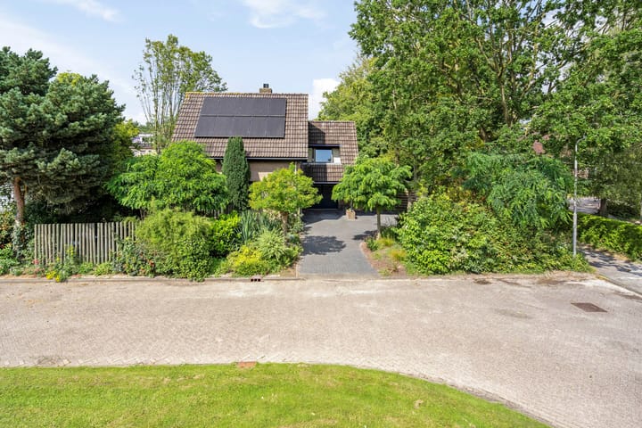 Foto 5 van Petrus Aemiliusstraat 15