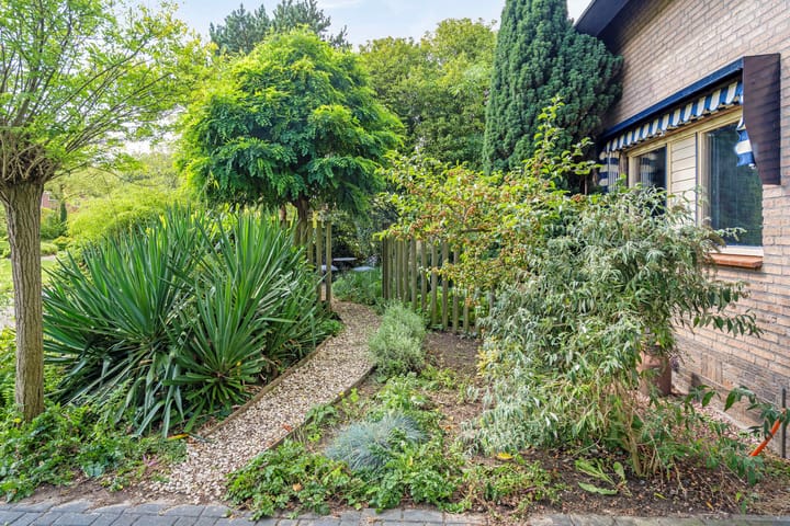 Foto 9 van Petrus Aemiliusstraat 15